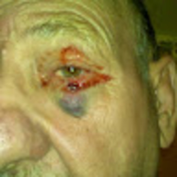 Meet your Posher, Gordon - Picture 1 of 1